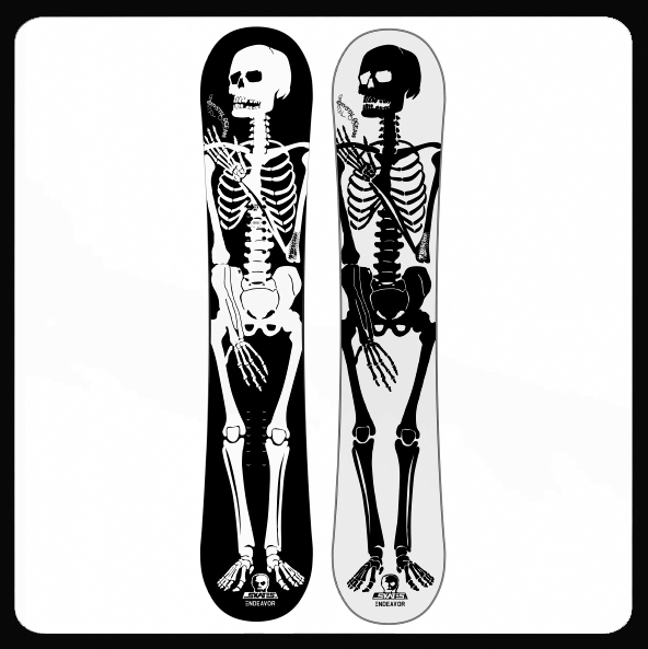 Endeavor x Skull Skates Crystal Ocean Snowboard