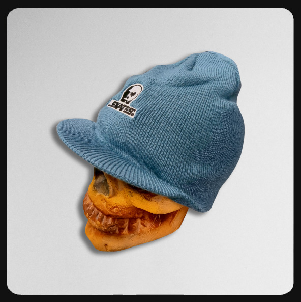 Skull Skates Embroidered Logo Steel Blue Visor Beanie