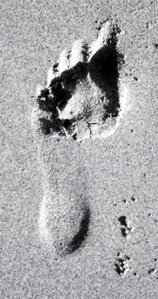 Skimboard Tidal Charts - 2010