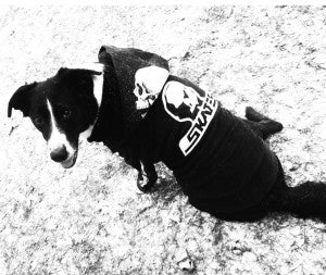 Daisy, our favorite mascot.