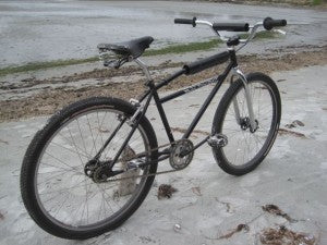 Skull Skates Cruiser
