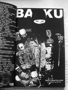 New Skull Skates Ad in Lowcard