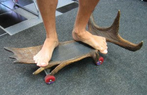 Moose Antler Skateboard