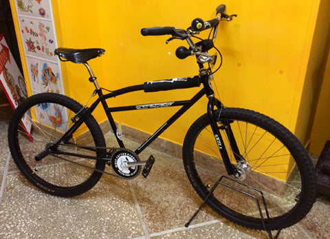 A Skull Skates BMX Cruiser in Rome