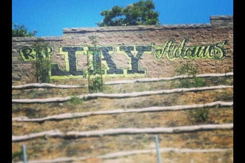 Jay Adams and His Influence