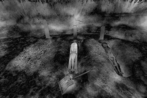 Skull Skates x Endeavor Collab Snowboards