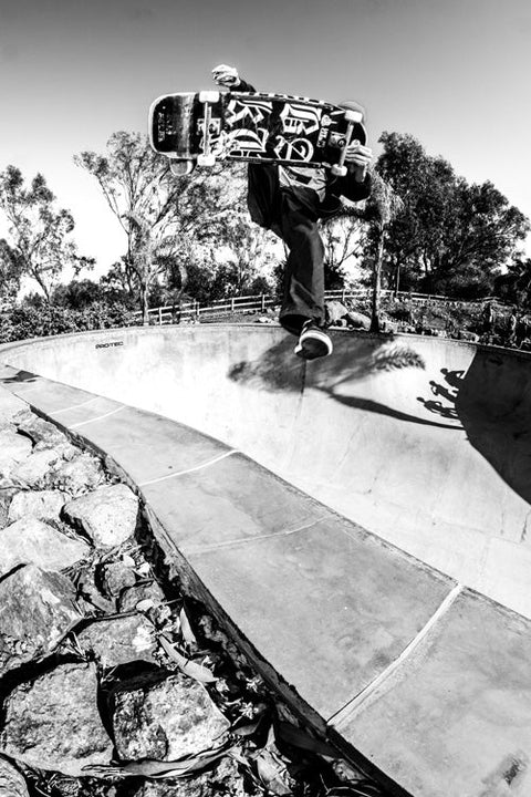 Nick Peterson BA. KU. Horse Vertical Rituals